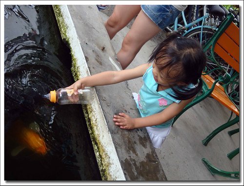 0713-童話村餵魚喝ㄋㄟ~34.jpg