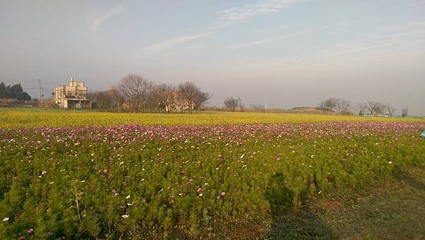 IMAG0126.jpg