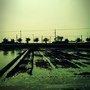 FxCam_1296791751347.jpg