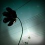 shot_1296808472915.jpg