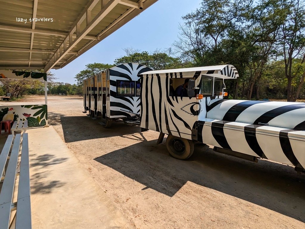 北碧景點篇：必來的Safari Park北碧動物園餵食長頸鹿