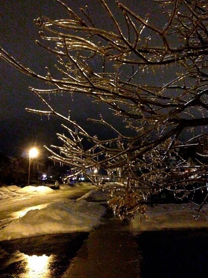 夜晚，冰樹成為美麗的水晶燈