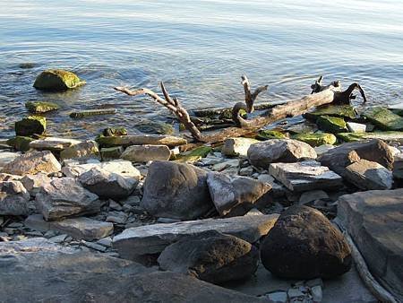 Lake Ontario Park5