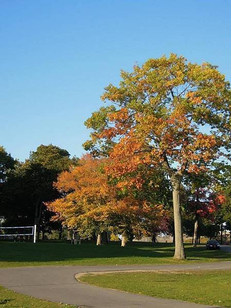 Lake Ontario Park10