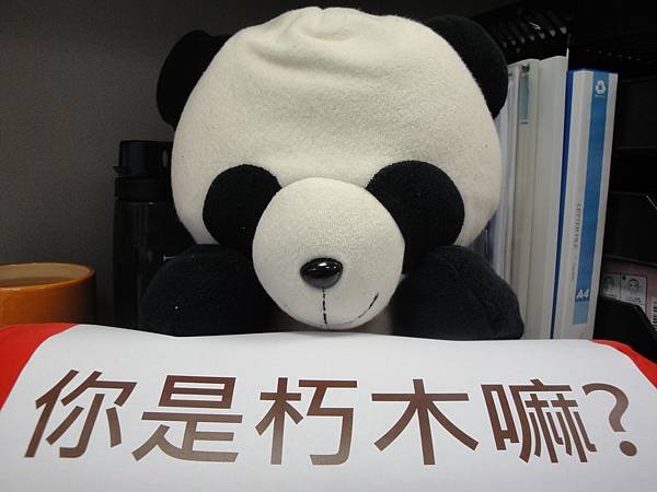 你是朽木嘛