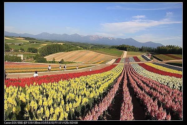 富良野38