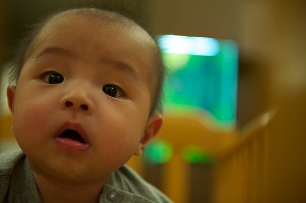 DSC_2048.jpg