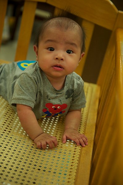 DSC_2036.jpg