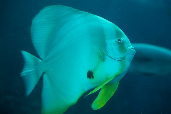 DSC_4841.jpg