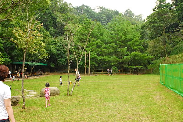 DSC_0261.JPG