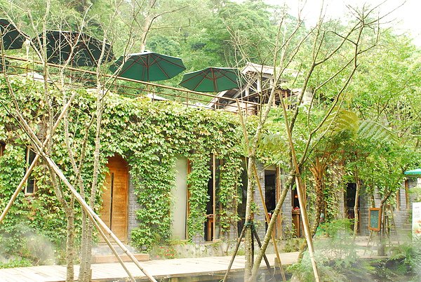 DSC_0219.JPG