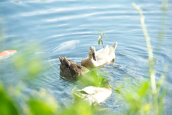 DSC_3258.jpg
