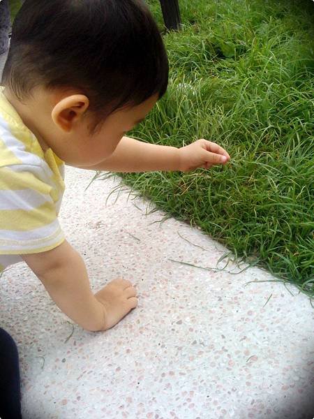 20110521001.jpg