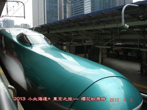 p17.jpg