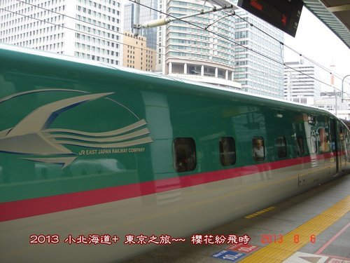 p19.jpg