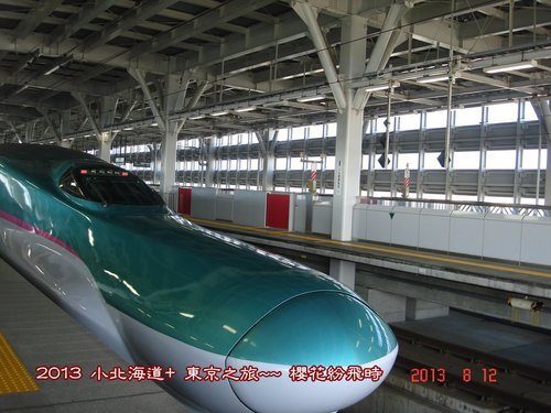 p61.jpg