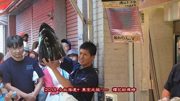 築11