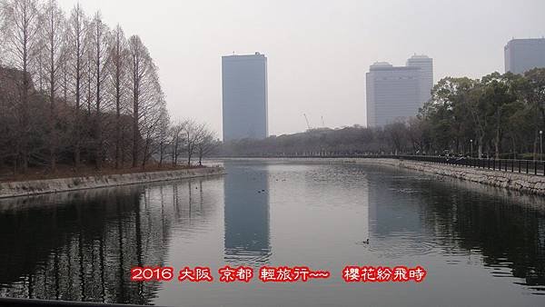 阪梅5