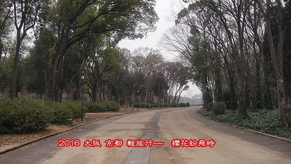 阪梅3
