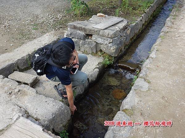 第十一5.JPG