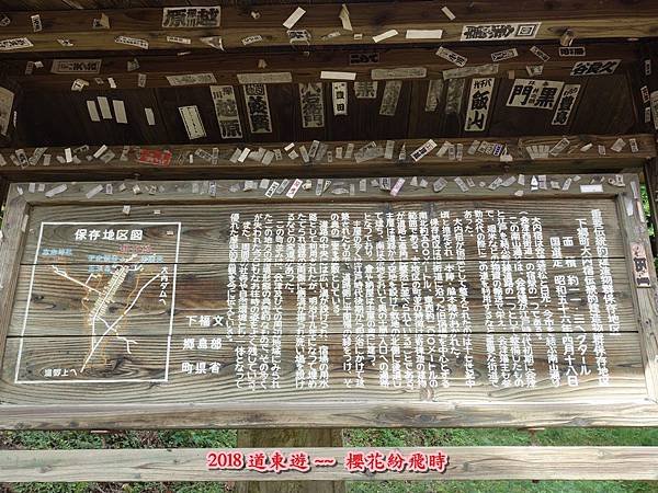 第十一11.JPG