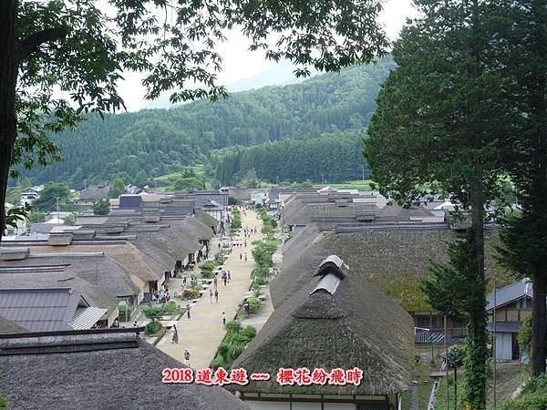 第十一15.JPG