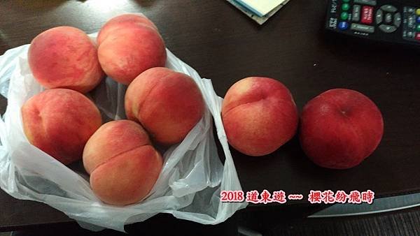 第十一24.jpg