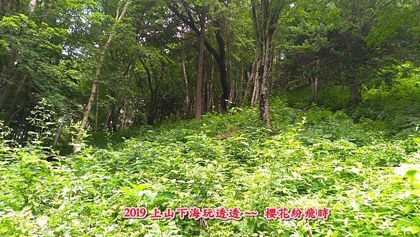 釧108.jpg