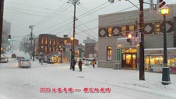 雪祭19.jpg