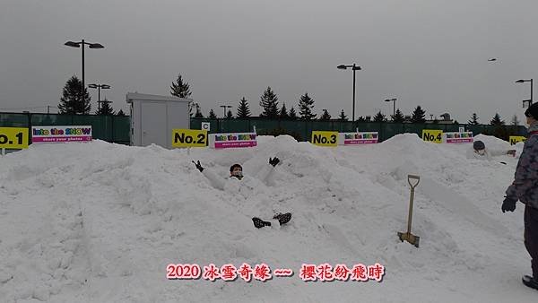 雪祭203.jpg