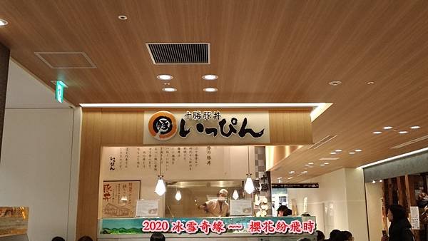 大薄28.jpg