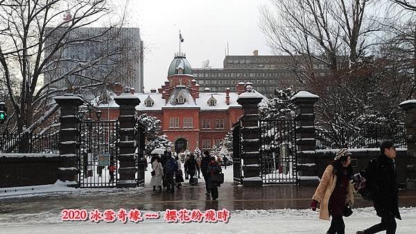 大薄31.jpg