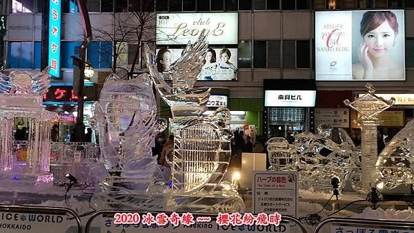 大薄56.jpg