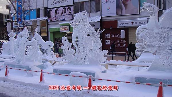 大薄101DSC00509.JPG
