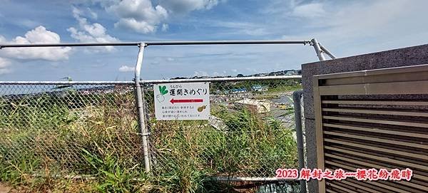 種差海岸&amp;蕪島神社