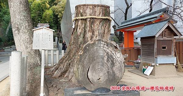 神戶一日遊