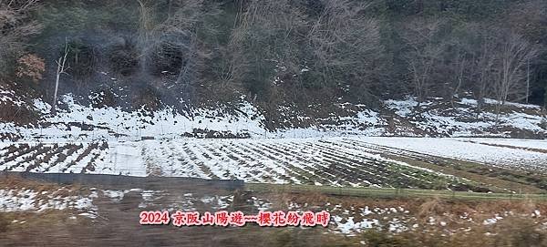 海之京都：天橋立、伊根