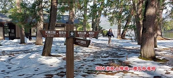 海之京都：天橋立、伊根