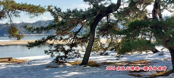 海之京都：天橋立、伊根