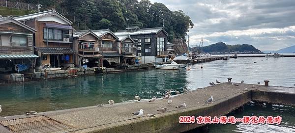 海之京都：天橋立、伊根