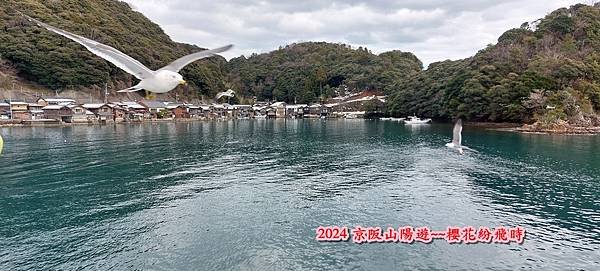 海之京都：天橋立、伊根