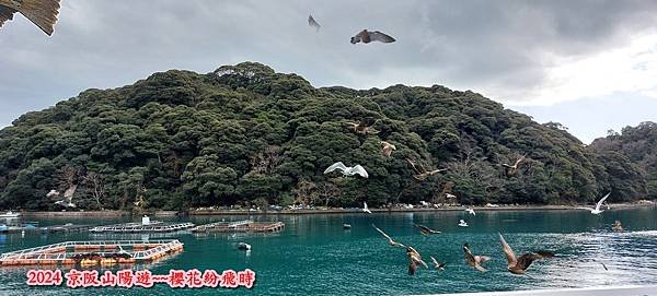 海之京都：天橋立、伊根
