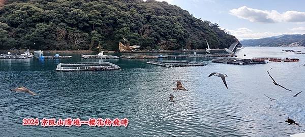 海之京都：天橋立、伊根