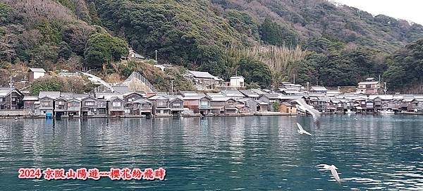 海之京都：天橋立、伊根