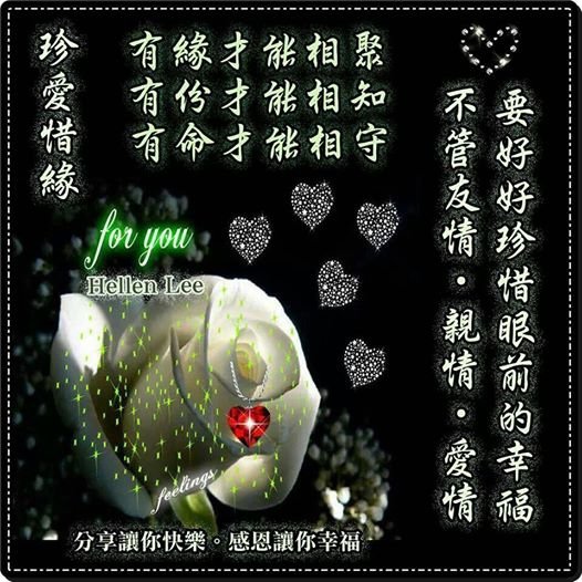 珍愛惜緣