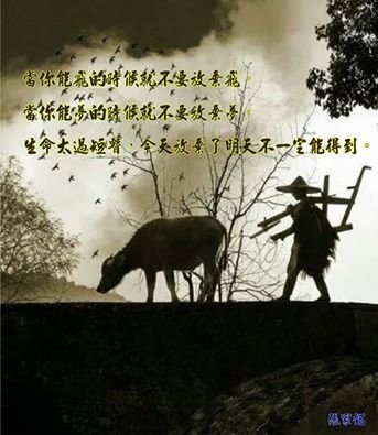 有夢最美