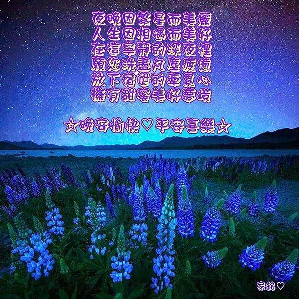 晚安愉快