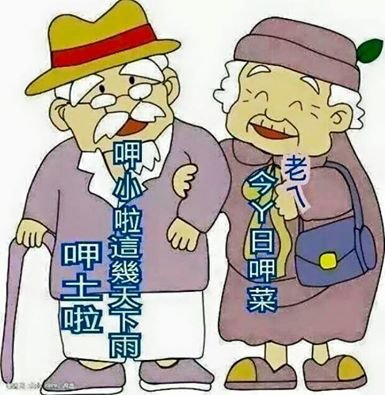 甲土啦