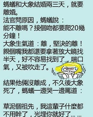 蟻象婚