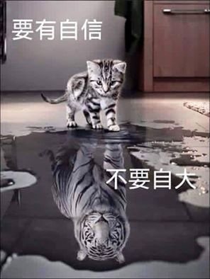 要自信就別自大